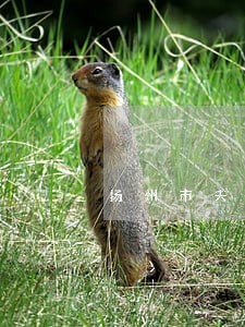 扬州市夫妻债务纠纷律师价格 扬州市夫妻债务纠纷律师价格