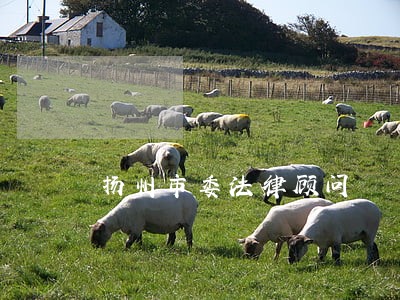 扬州市委法律顾问 扬州市委法律顾问