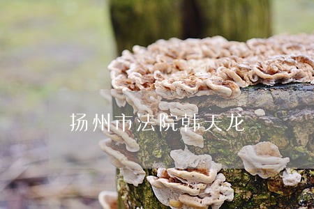 扬州市法院韩天龙