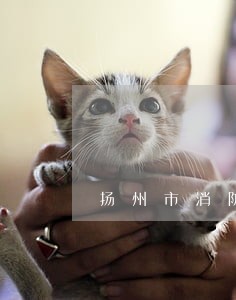 扬州市消防责任事故罪律师咨询 扬州市消防责任事故罪律师咨询
