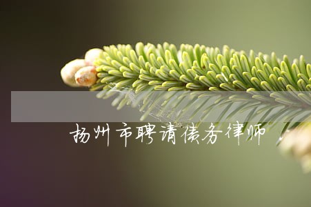 扬州市聘请债务律师 扬州市聘请债务律师