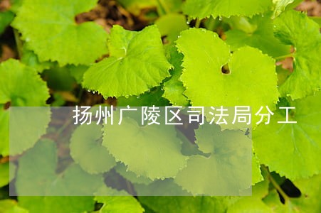 扬州广陵区司法局分工 扬州广陵区司法局分工