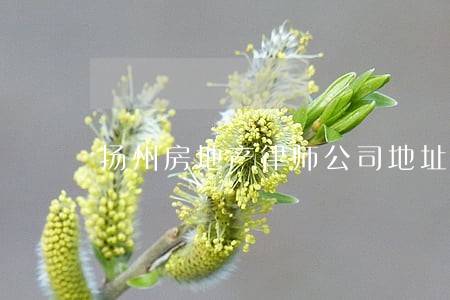 扬州房地产律师公司地址