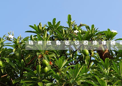 扬州江都区公司法律顾问价格 扬州江都区公司法律顾问价格