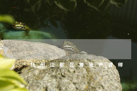 扬州江都区房地产律师 扬州江都区房地产律师