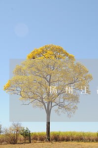 扬州江都区离婚律师团队 扬州江都区离婚律师团队