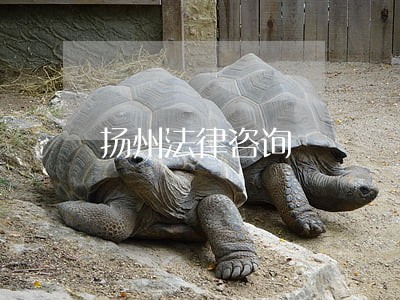 扬州法律咨询