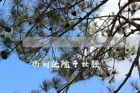 扬州法院于世强