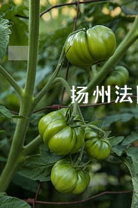 扬州法院几点下班 扬州法院几点下班