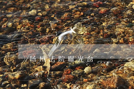 扬州法院曝光台 扬州法院曝光台