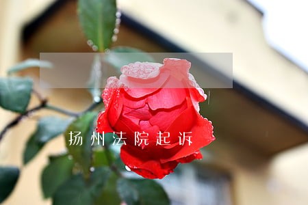 扬州法院起诉