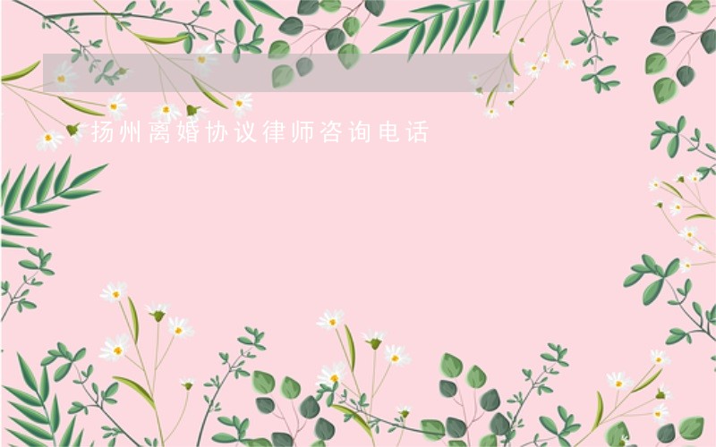 扬州离婚协议律师咨询电话 扬州离婚协议律师咨询电话