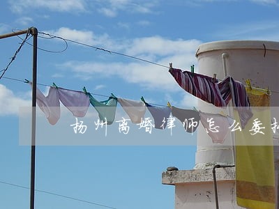 扬州离婚律师怎么委托 扬州离婚律师怎么委托