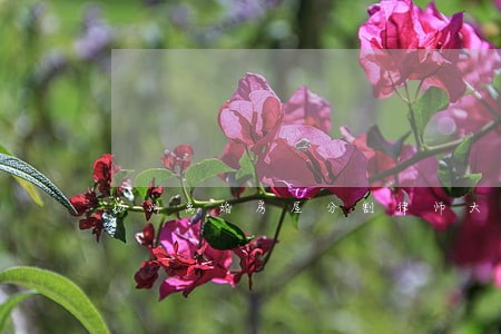 扬州离婚房屋分割律师大概多少钱 扬州离婚房屋分割律师大概多少钱