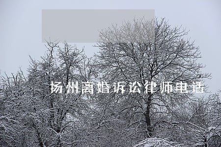 扬州离婚诉讼律师电话 扬州离婚诉讼律师电话