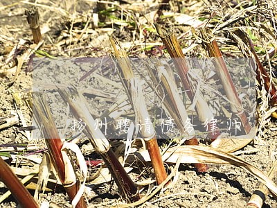 扬州聘请债务律师 扬州聘请债务律师
