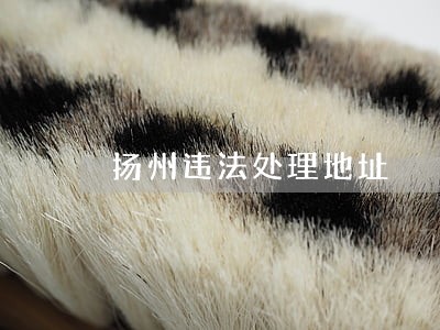 扬州违法处理地址
