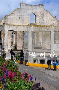 扬州邗江法院诈骗徐某某