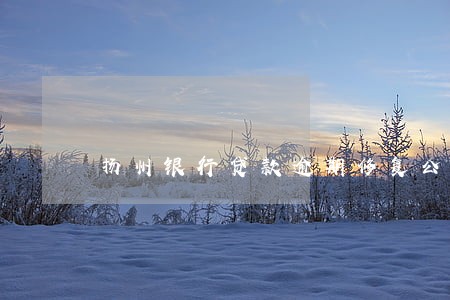 扬州银行贷款逾期修复公司 扬州银行贷款逾期修复公司