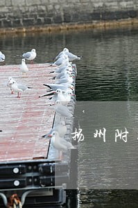 扬州附近企业并购律师介绍 扬州附近企业并购律师介绍