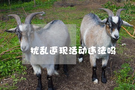 扰乱返现活动违法吗