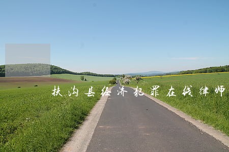 扶沟县经济犯罪在线律师咨询 扶沟县经济犯罪在线律师咨询