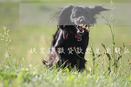 扶贫小额贷款发生逾期后 扶贫小额贷款发生逾期后