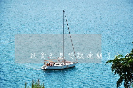 扶贫无息贷款逾期了怎么办理 扶贫无息贷款逾期了怎么办理