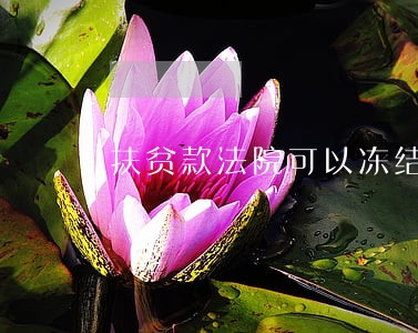 扶贫款法院可以冻结吗 扶贫款法院可以冻结吗