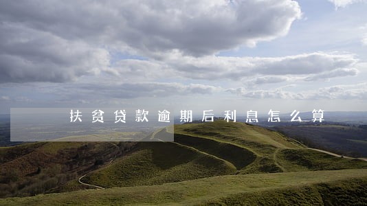 扶贫贷款逾期后利息怎么算 扶贫贷款逾期后利息怎么算