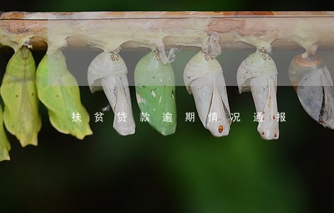 扶贫贷款逾期情况通报 扶贫贷款逾期情况通报