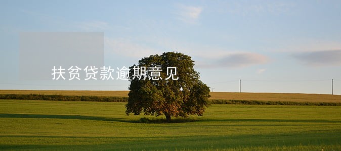扶贫贷款逾期意见 扶贫贷款逾期意见