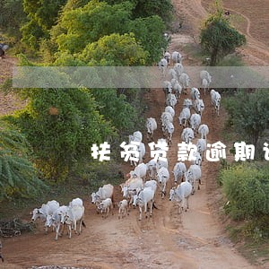 扶贫贷款逾期说明 扶贫贷款逾期说明