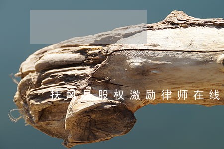扶风县股权激励律师在线免费咨询 扶风县股权激励律师在线免费咨询