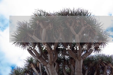 批房贷有一次信用逾期 批房贷有一次信用逾期