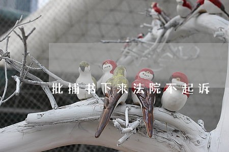 批捕书下来法院不起诉