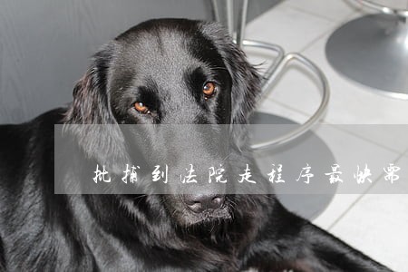 批捕到法院走程序最快需多长时间 批捕到法院走程序最快需多长时间
