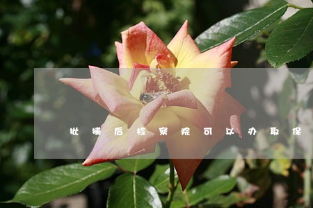 批捕后检察院可以办取保吗 批捕后检察院可以办取保吗