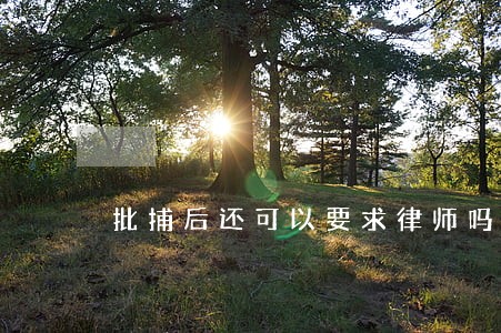 批捕后还可以要求律师吗