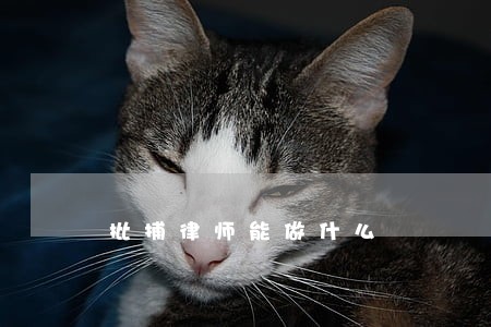 批捕律师能做什么 批捕律师能做什么