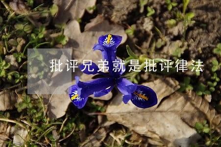 批评兄弟就是批评律法 批评兄弟就是批评律法