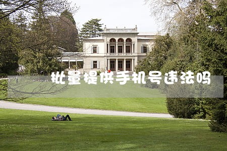批量提供手机号违法吗 批量提供手机号违法吗