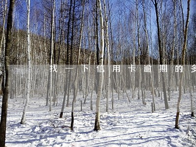 找一下信用卡逾期的多吗 找一下信用卡逾期的多吗