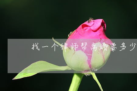 找一个律师帮离婚要多少钱 找一个律师帮离婚要多少钱