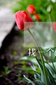 找一个法律顾问要多少钱 找一个法律顾问要多少钱