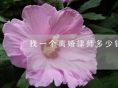找一个离婚律师多少钱 找一个离婚律师多少钱
