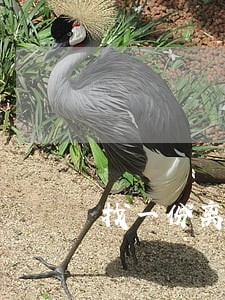 找一份离婚协议版本书 找一份离婚协议版本书