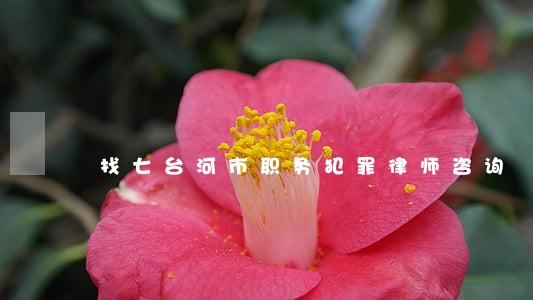 找七台河市职务犯罪律师咨询 找七台河市职务犯罪律师咨询