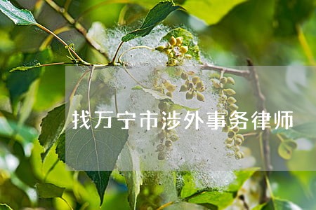 找万宁市涉外事务律师 找万宁市涉外事务律师