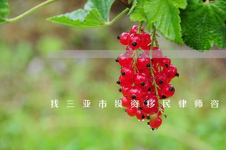 找三亚市投资移民律师咨询 找三亚市投资移民律师咨询